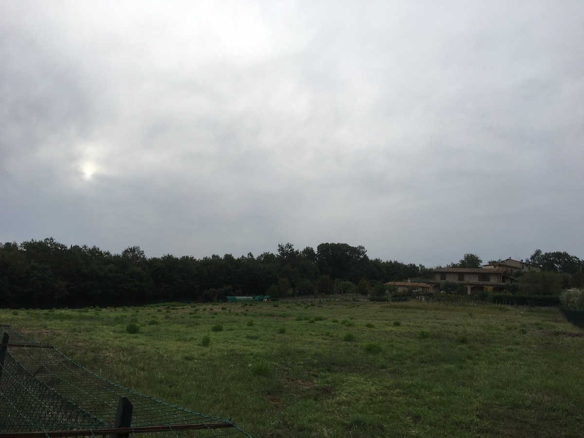 The nearby farm and neighbouring meadow from 80 m distance