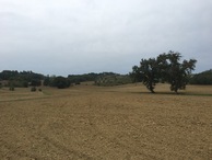 #11: View from the main road; 600 m distance
