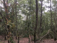 #2: View to the North