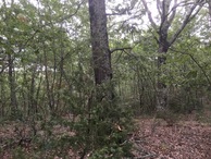 #3: View to the East