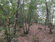 #4: View to the South
