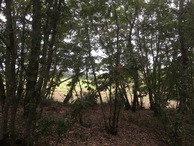 #5: View to the West