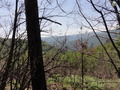 #4: West view