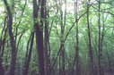 #2: East
