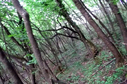 #3: South