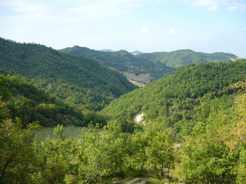 View north from about 20 metres west of the point.