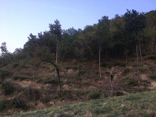 #1: The Confluence from 50 m