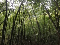 #2: View to the North