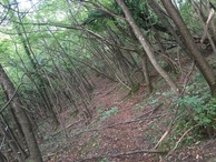 #3: View to the East