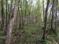 #4: View to the South