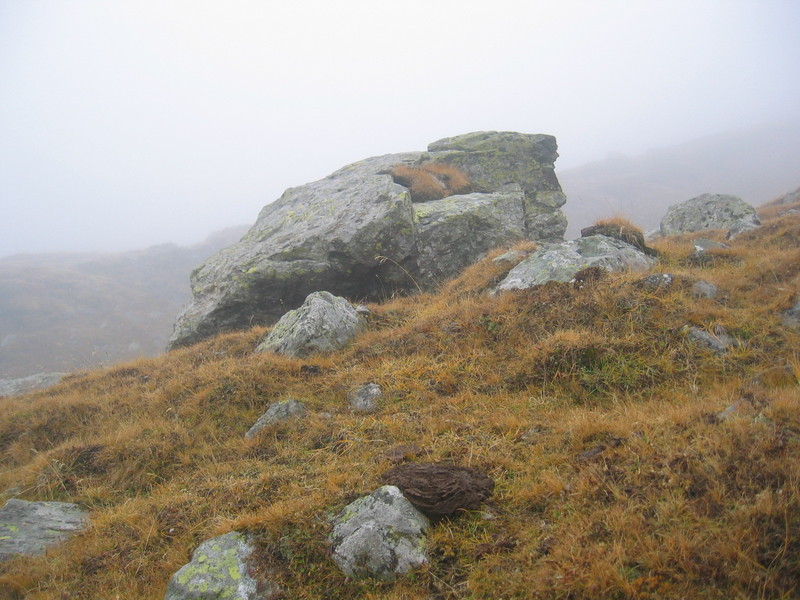 Confluence Squeezed between Rock and Cow's Mess