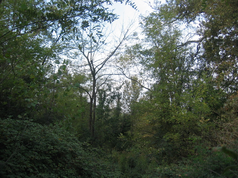 The Confluence from 30 m