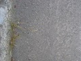 #5: Ground Zero