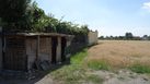 #8: Sheds next to the house