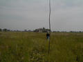 #4: abandoned farm (and my father)