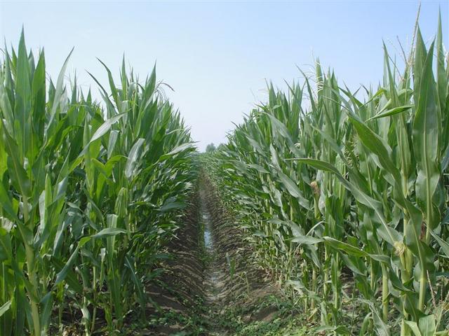 south