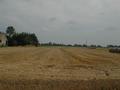 #3: north