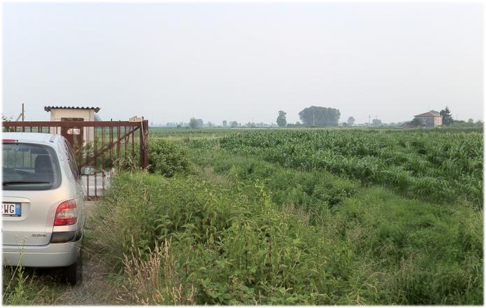 Confluence behind the gate in the corn field