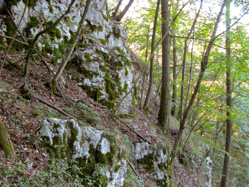 From the Confluence Point looking West