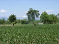 #6: Surrounding: flat land, fields and trees, our car, and in the background the snow-covered Alps.