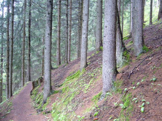 View east with the path