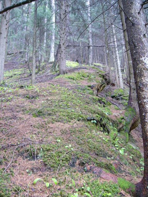 View south uphill