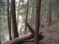 #3: Looking East