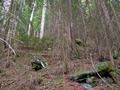 #4: Looking South