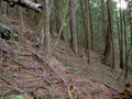 #5: Looking West