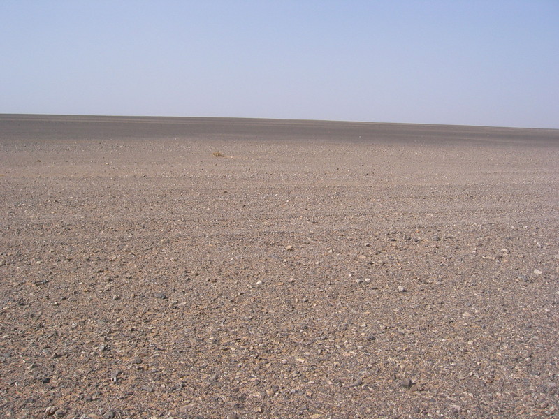 View to the North