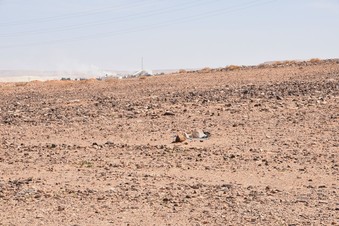 #1: Looking at the confleunce point - previsous visitor made a small stone pile