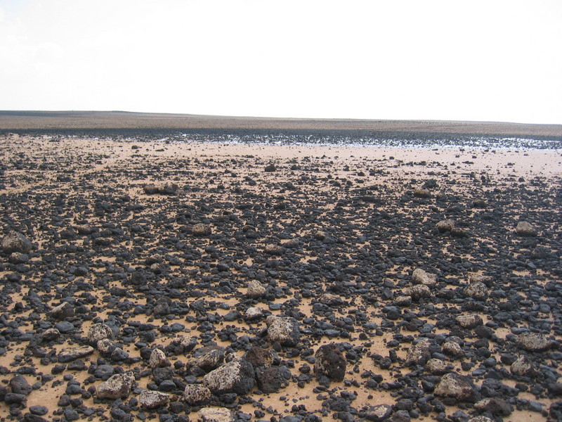 View to the East
