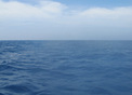 #5: Looking north.  Ditto previous comment.