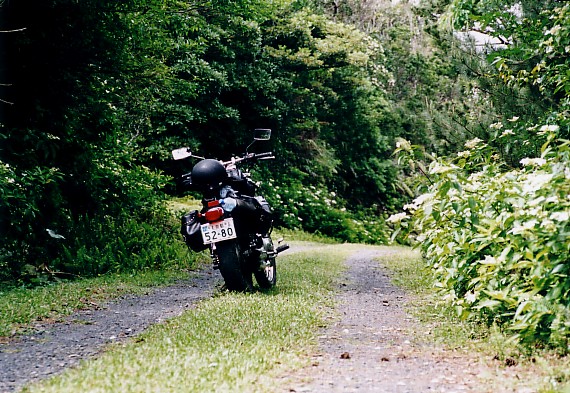 Unpaved mountain road