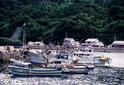 #5: Fishing harbor near the confluence