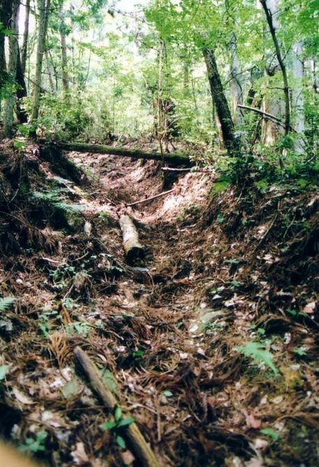 Trail to confluence