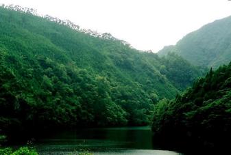 #1: Kitayama River. View towards Confluence from the northeast