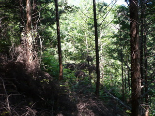 #1: Overall the confluence from the east side.