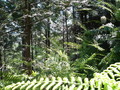 #3: The East view.
