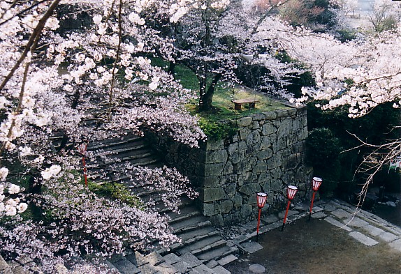 Tsuyama castle