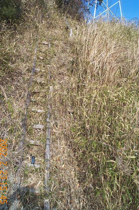 This is the ladder I climbed to avoid having to retrace my route to get to the confluence location.