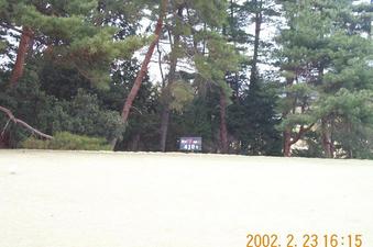 #1: Looking north-northwest towards the confluence point in the grove of trees 10 meters from the 18th tee box. This is the only picture I took near the confluence before being politely escorted off the golf course by the groundskeepers.