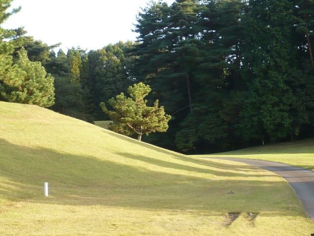 Overall view from 120 meters North-west, from the gate.