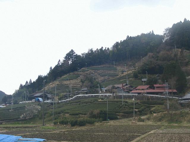 Village near confluence with tea plantations
