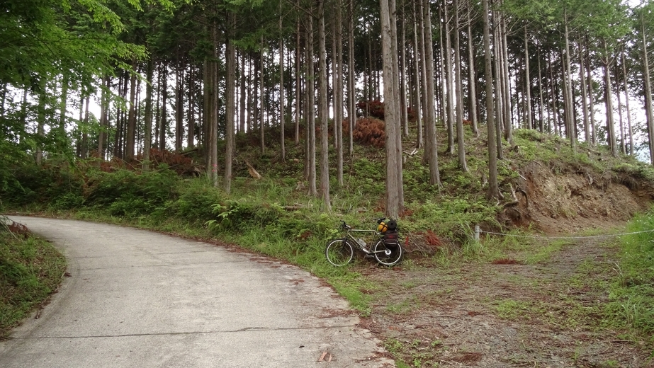 Beginning of the unpaved way at a distance of 93 m to the CP