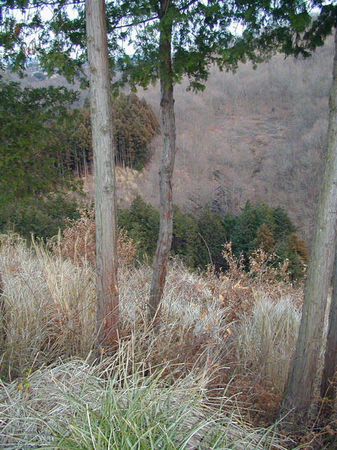 Looking down into the valley, confluence lies near the bottom