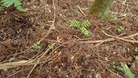 #5: Ground at the CP