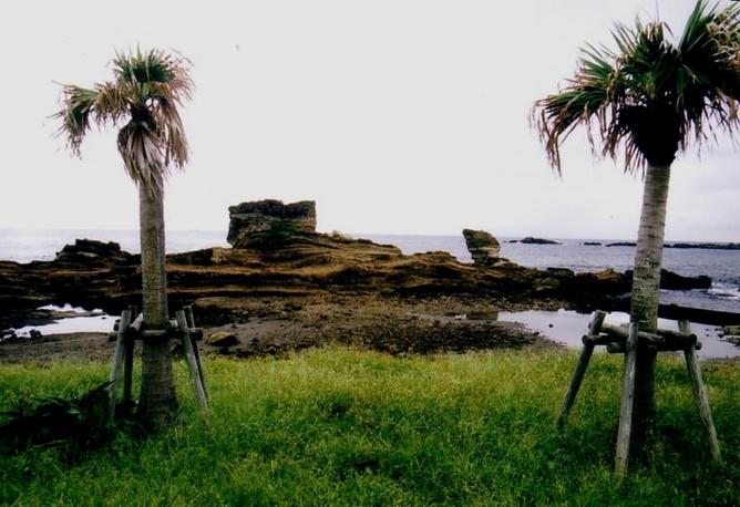 Boso Peninsula coast