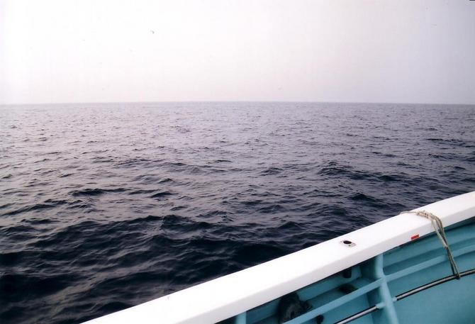 View to the north