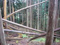 #5: The West View